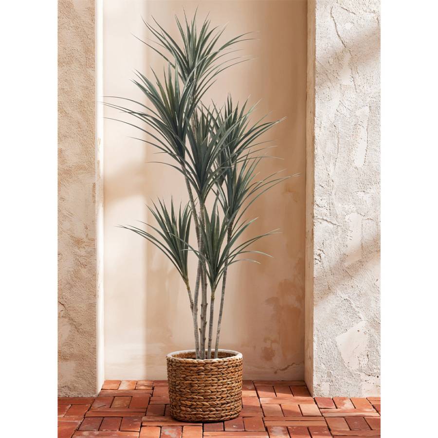YUCCA ΔΕΝΤΡΟ ΤΕΧΝΗΤΟ ΣΕ ΓΛΑΣΤΡΑ 190cm PE ΠΡΑΣΙΝΟ