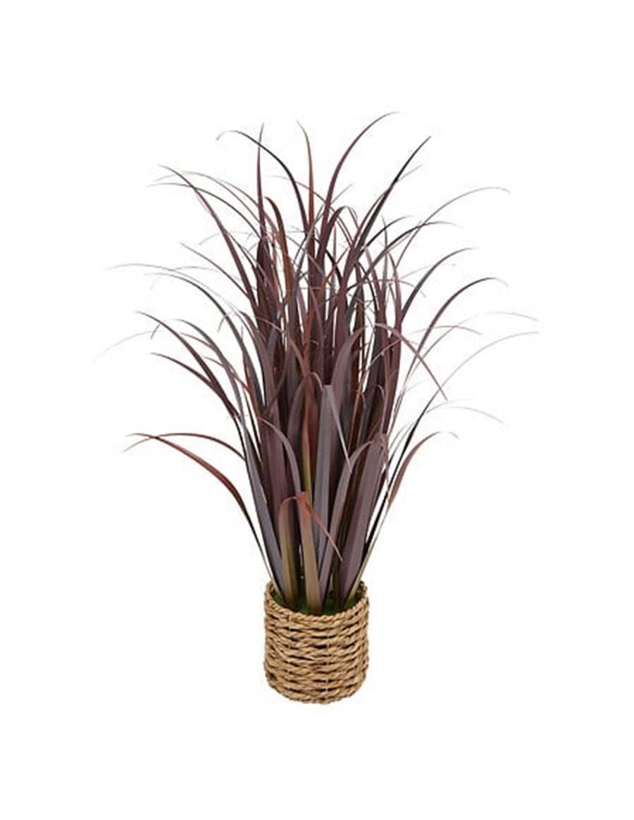 Φύλλα Zya μπορντώ σε κασπώ Η91cm