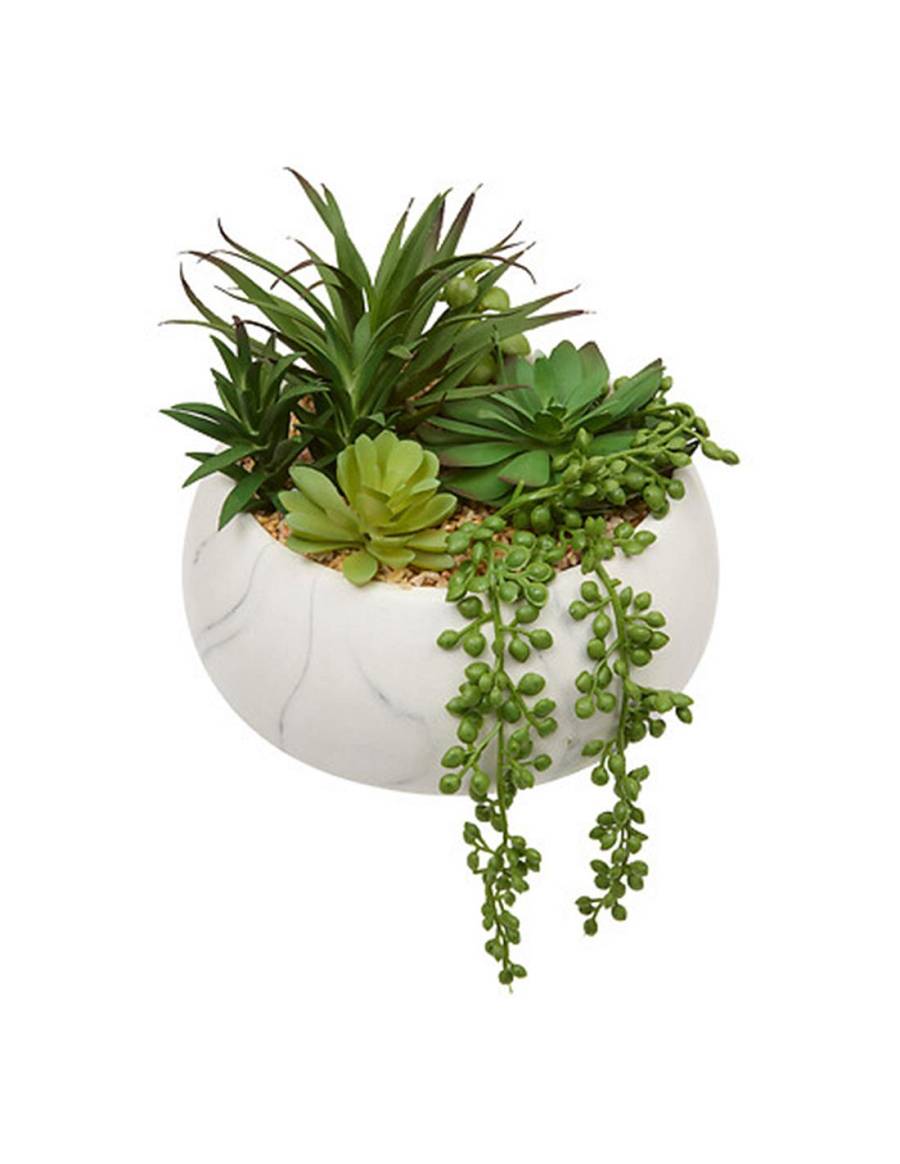 Παχύφυτα σε λευκό κεραμ.κασπώ 21 x 18 x 21 cm