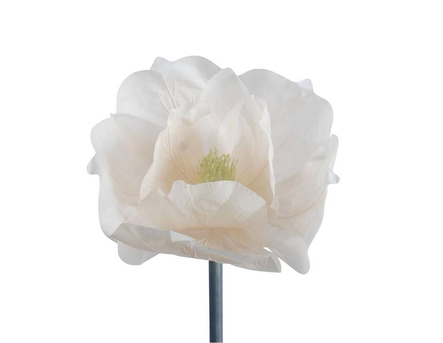 Λουλούδι Μανώλια 50x40cm