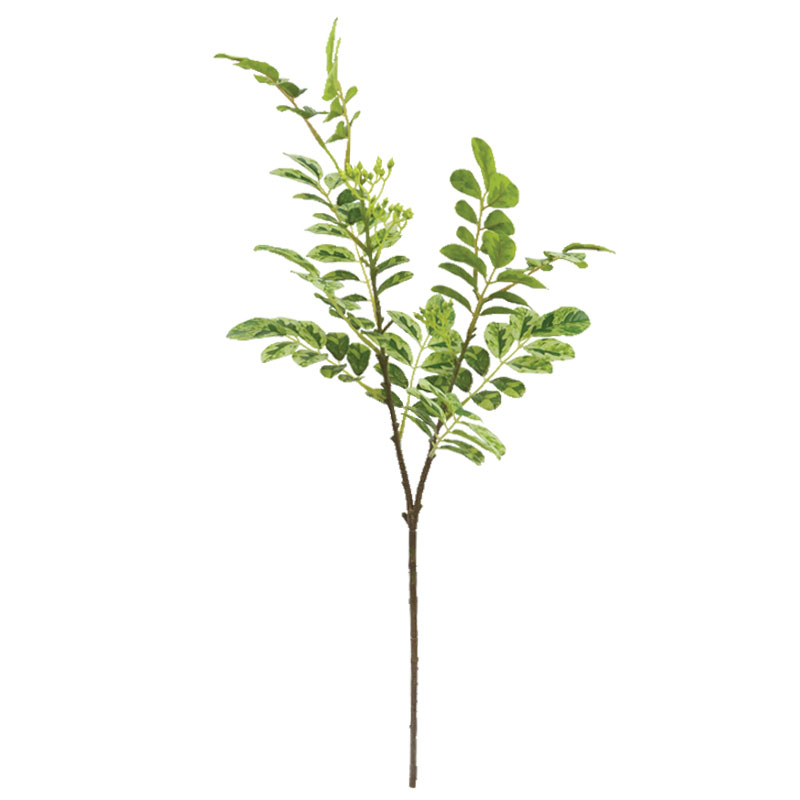 ΚΛΑΔΙ ΜΠΡΕΪΝΙΑ ΠΡΑΣΙΝΟ 2ΧΡΩΜΟ REAL TOUCH - 30x20x74cm 24/240ΚΙΒ