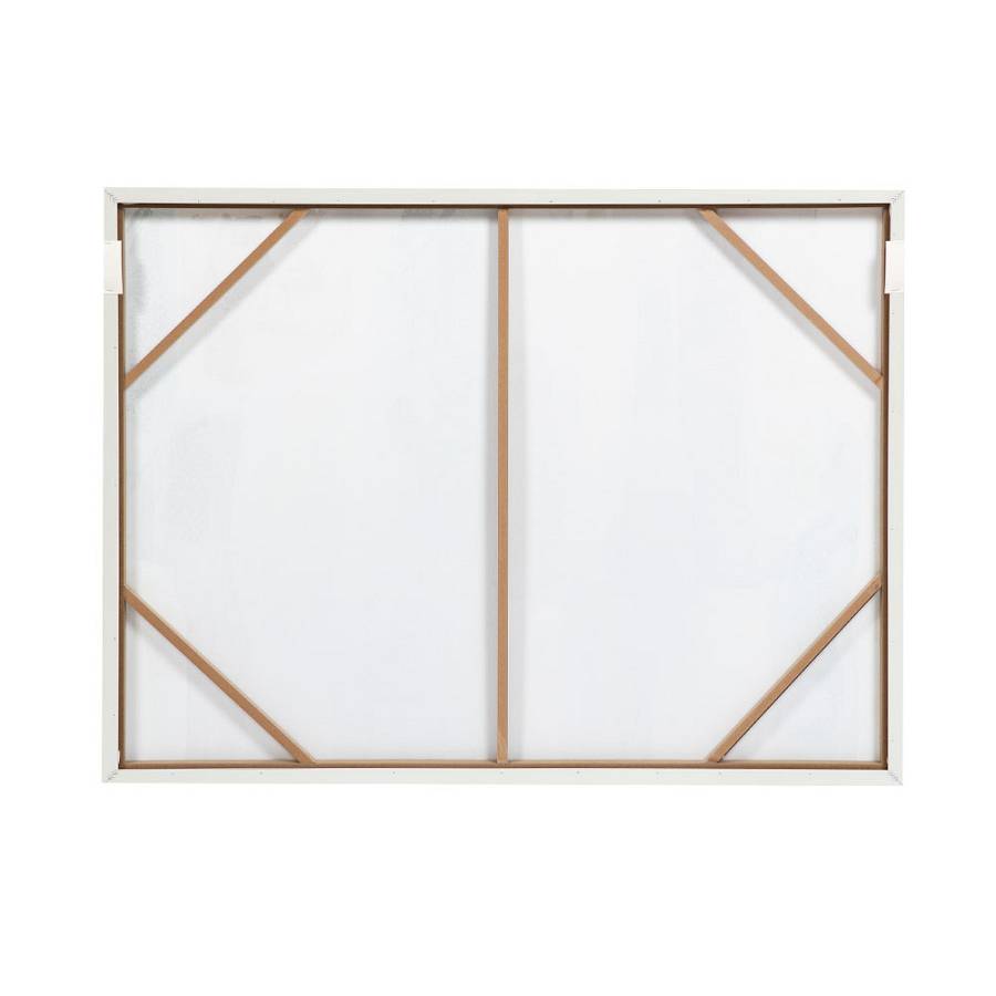 MINT AIR ΠΙΝΑΚΑΣ ΔΙΑΚΟΣΜΗΤΙΚΟΣ ΜΕ ΚΟΡΝΙΖΑ 90x120x4cm ΚΑΜΒΑΣ ΠΟΛΥΧΡΩΜΟ ΞΥΛΟ ΑΣΠΡΟ