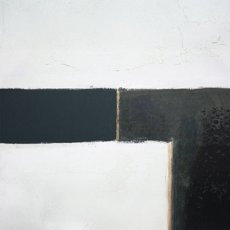 DEL SIL ΠΙΝΑΚΑΣ ΔΙΑΚΟΣΜΗΤΙΚΟΣ ΜΕ ΚΟΡΝΙΖΑ 80x120x4cm ΚΑΜΒΑΣ ΜΑΥΡΟ ΓΚΡΙ ΜΠΕΖ ΞΥΛΟ ΦΥΣΙΚΟ