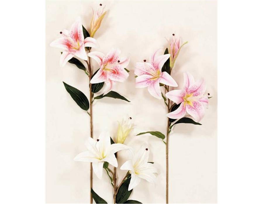 Κλαδί λίλιουμ real touch