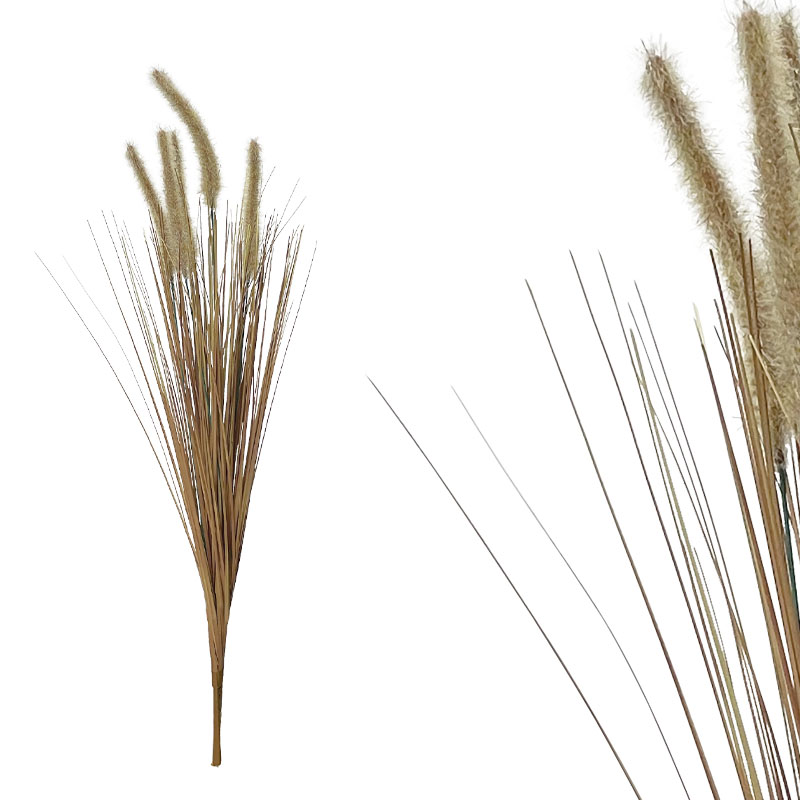 ΚΛΑΔΙ ΦΥΣΙΚΟ ΜΠΕΖ/ΚΑΦΕ ΓΚΡΑΣΣ ΜΕ ΑΝΘΗ ΚΑΛΑΜΙΑΣ - Y76cm 300/KIB