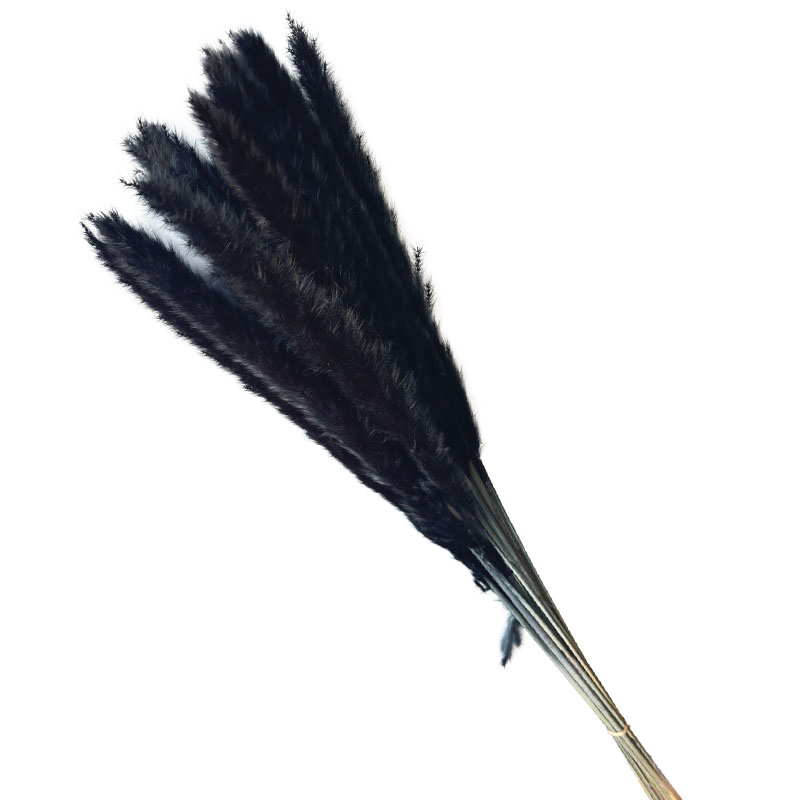 ΑΠΟΞΗΡΑΜΕΝΑ ΚΛΑΔΙΑ ΓΚΡΙ ΜΙΝΙ ΠΑΜΠΑΣ ΜΑΤΣΟ ~15τμχ - Y75-80cm 130/ΚΙΒ