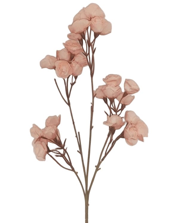 ΚΛΑΔΙ ΜΕ ΛΟΥΛΟΥΔΙΑ ΡΟΖ