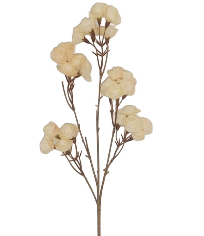 ΚΛΑΔΙ ΜΕ ΛΟΥΛΟΥΔΙΑ ΙΒΟΥΑΡ