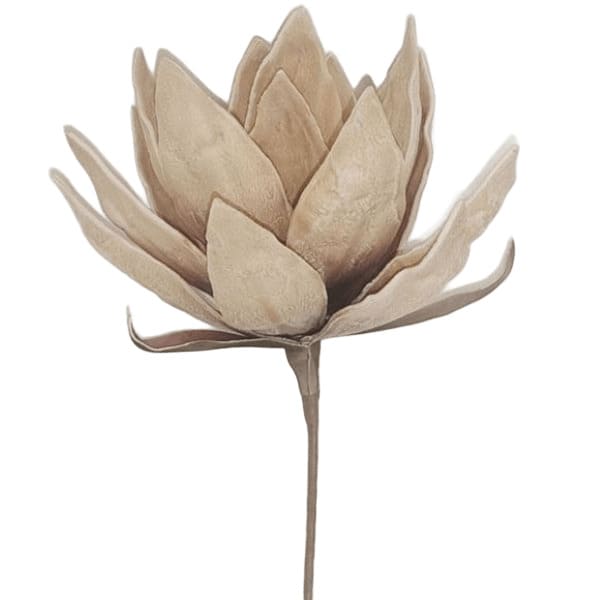 ΛΟΥΛΟΥΔΙ ΙΒΟΥΑΡ-ΚΑΦΕ