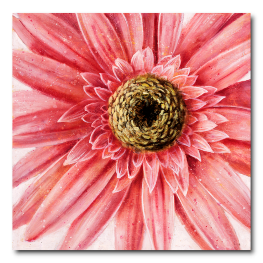 ADL006 - Πίνακας ροζ μαργαρίτα