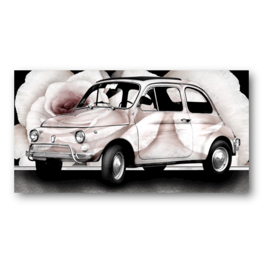 M655 - Πίνακας Fiat 500 με φόντο τριαντάφυλλα