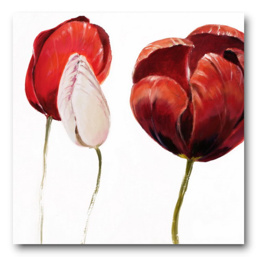 M899 - Πίνακας κόκκινες και λευκές τουλίπες