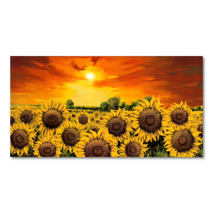 M021 - Πίνακας αγρός με ηλίανθους