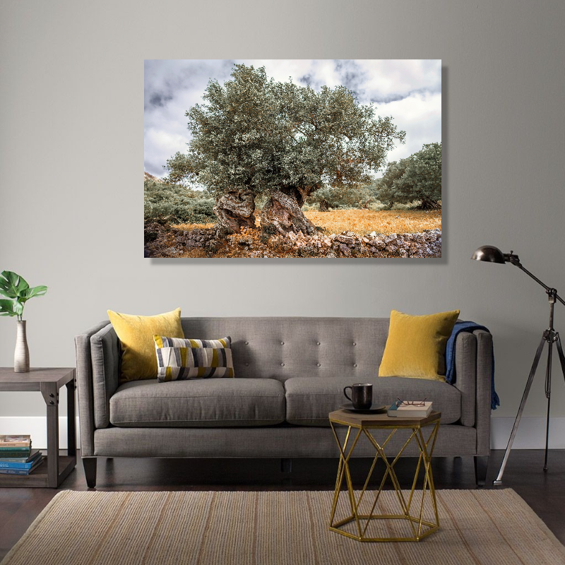 BDL083 - Πίνακας ελιά