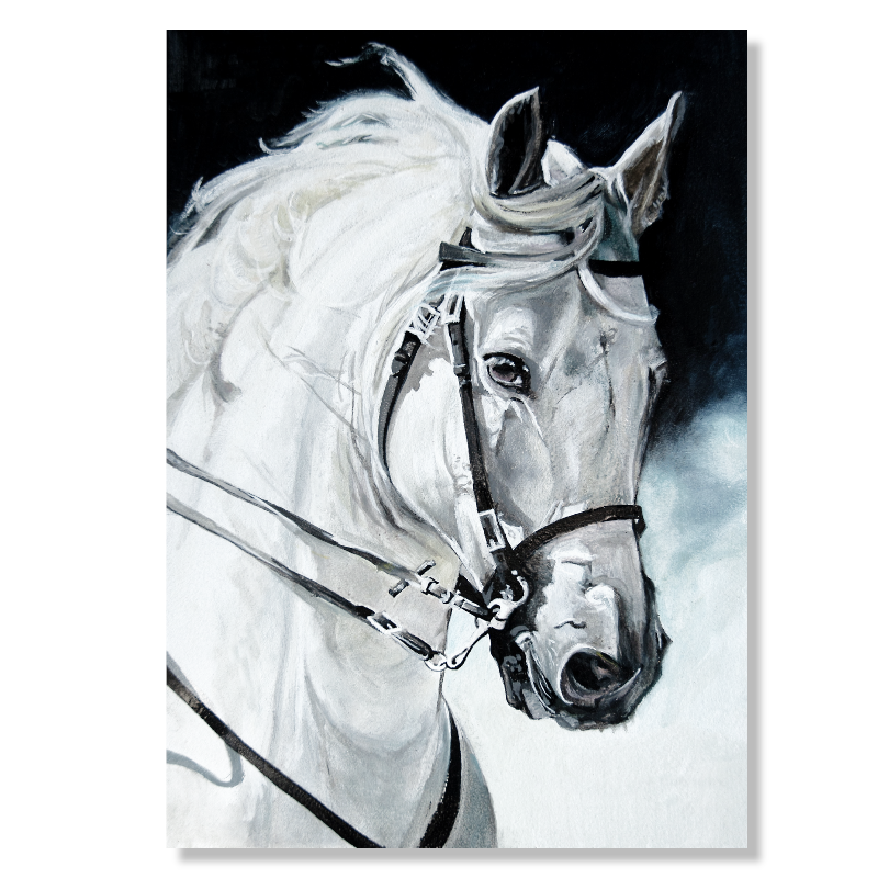 BDL119 - Πίνακας λευκό άλογο