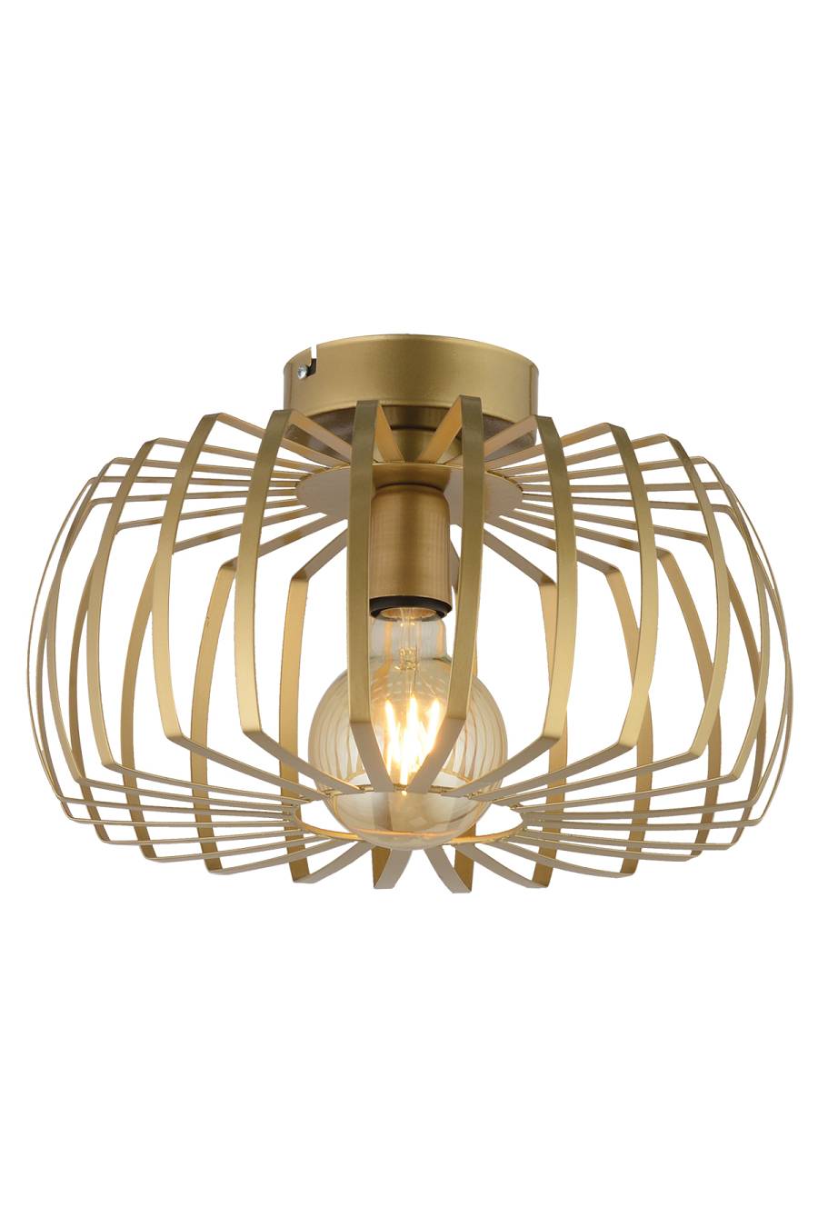 CCT 1256 AB ΠΛΑΦΟΝΙΕΡΑ ΑΡΑΧΝΗ