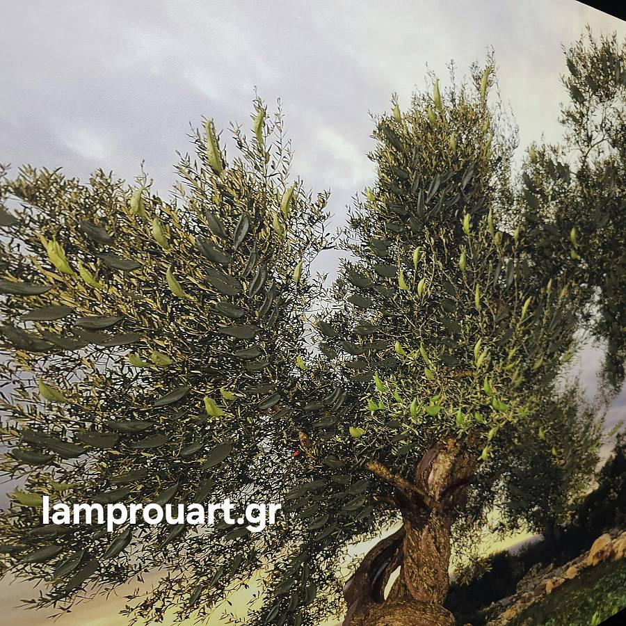 HK0138 - Πίνακας ελιά