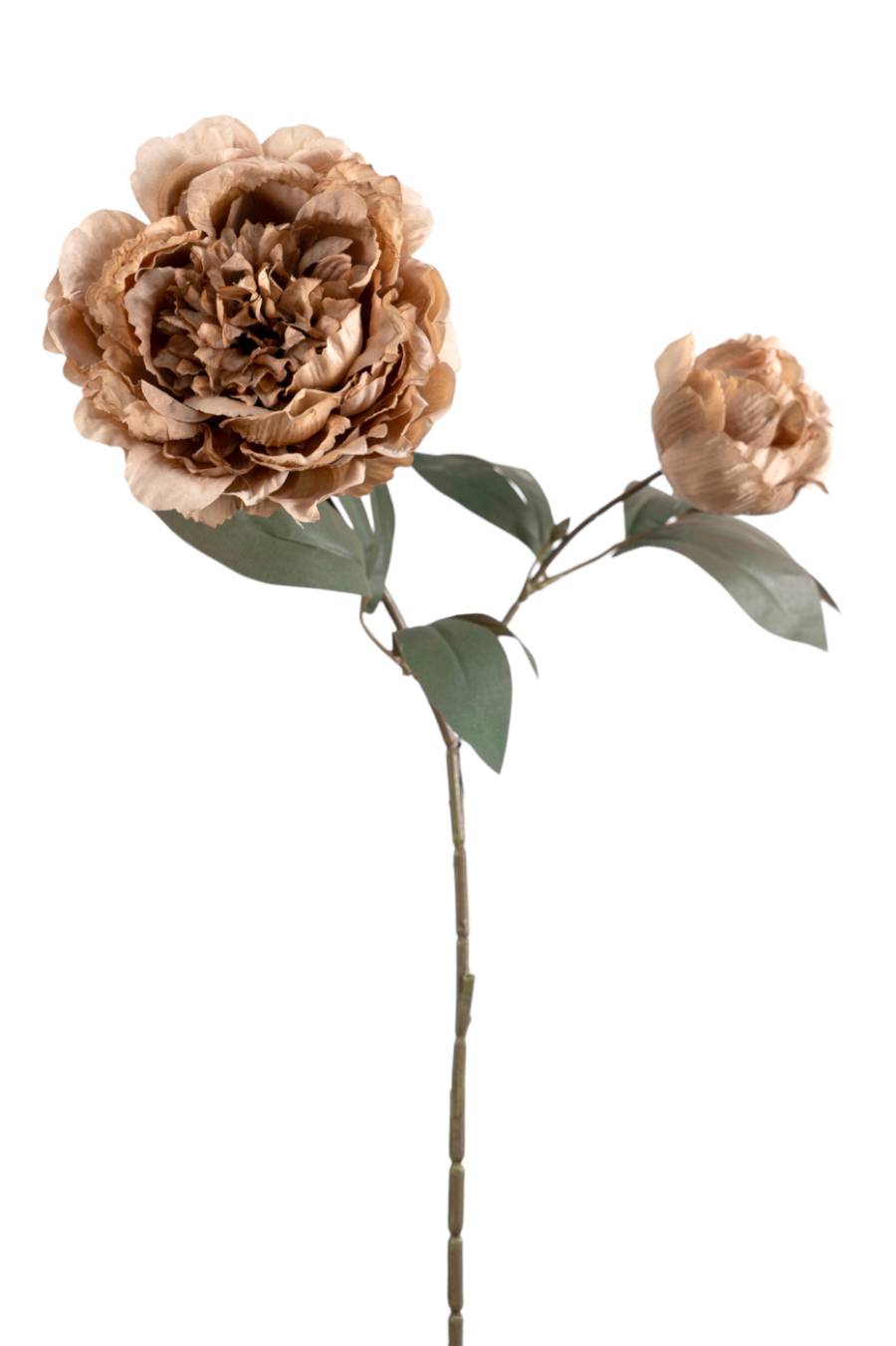 ΛΟΥΛΟΥΔΙ ΤΡΑΝΤΑΦΥΛΛΟ ΜΕ ΜΠΟΥΜΠΟΥΚΙ ΚΑΦΕ 69ΕΚ