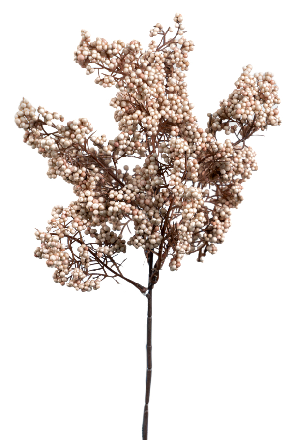 ΛΟΥΛΟΥΔΙΑ ΓΙΑ ΒΑΖΑΚΙ ΡΟΖ 40ΕΚ