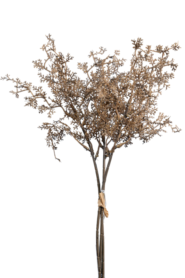 ΛΟΥΛΟΥΔΙΑ ΓΙΑ ΒΑΖΑΚΙ ΜΩΒ  40ΕΚ