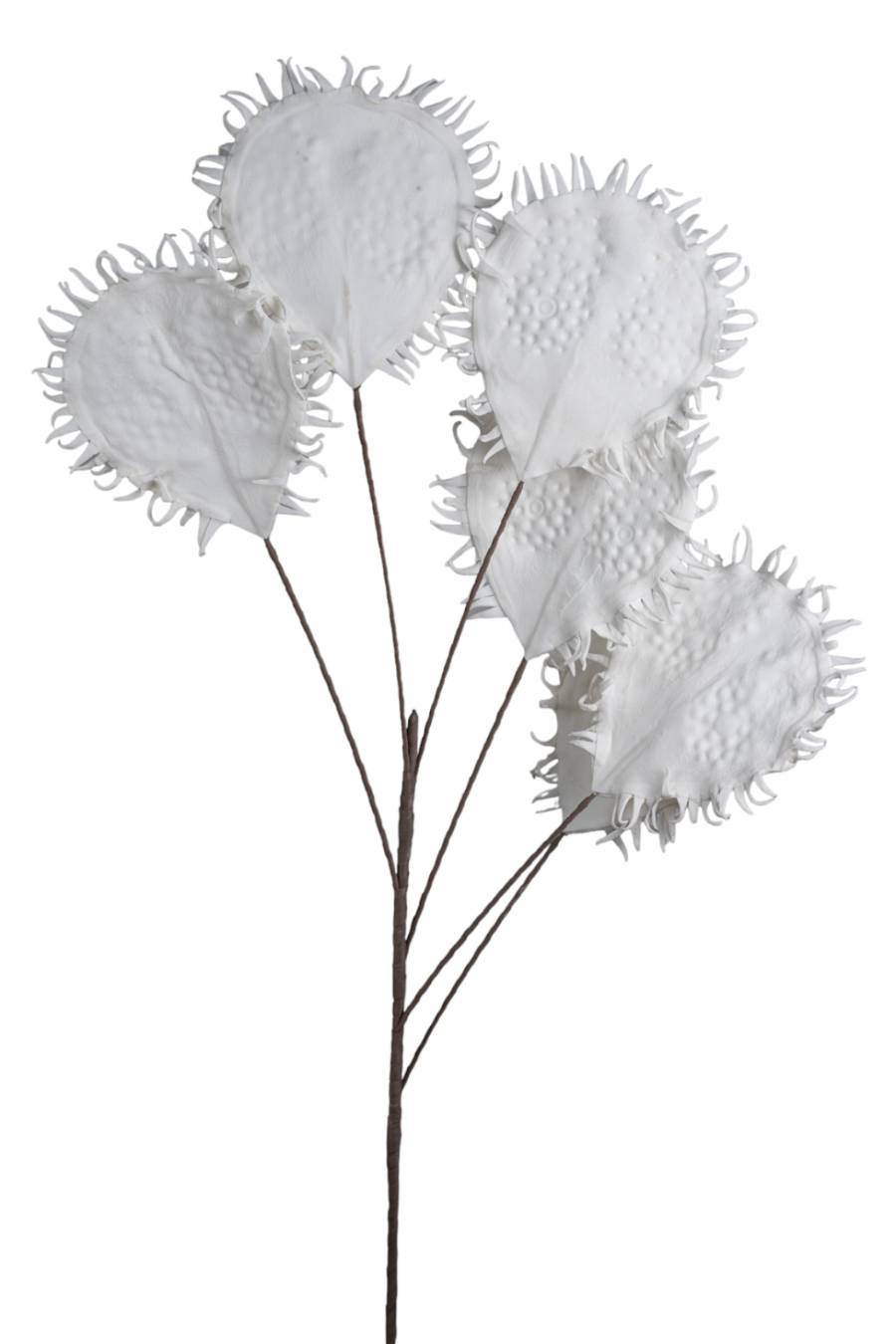 ΛΟΥΛΟΥΔΙ ΠΛΑΚΕ ΜΕ ΜΥΤΕΣ ΛΕΥΚΟ 126ΕΚ