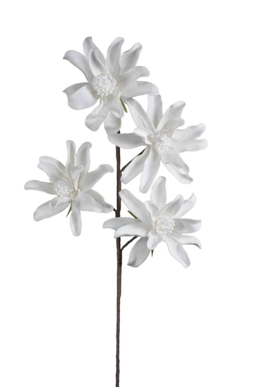 ΛΟΥΛΟΥΔΙ ΠΕΝΤΑΠΛΟ ΛΕΥΚΟ  104ΕΚ