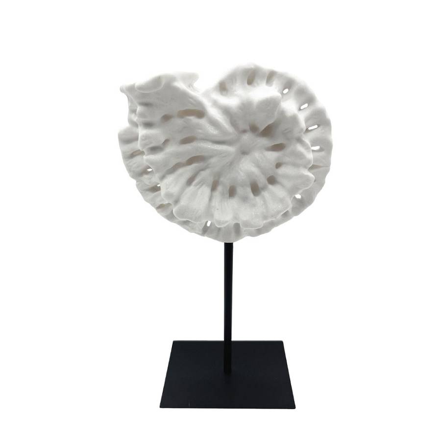 SHELL ΔΙΑΚΟΣΜΗΤΙΚΟ ΚΟΧΥΛΙ 20x11x36cm POLYRESIN ΑΣΠΡΟ ΜΑΥΡΟ ΜΕΤΑΛΛΟ