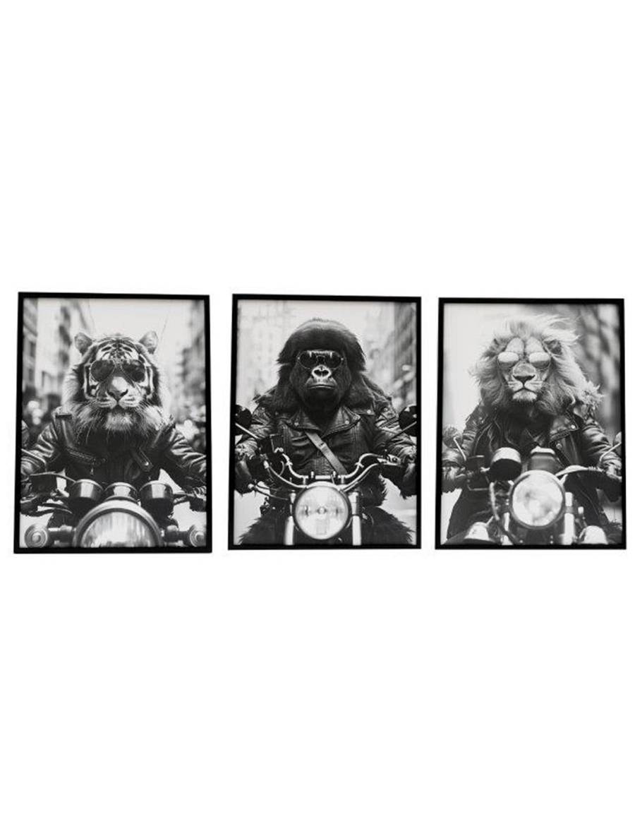 Κάδρο ANIMAL BIKE /3σχέδια 45x60cm