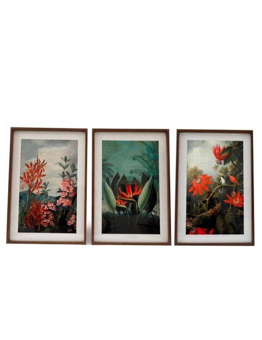 Κάδρο madagascar 3σχ. 40Χ60