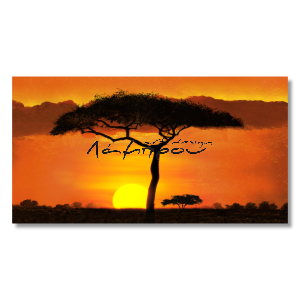 M024 - Πίνακας ηλιοβασίλεμα στην Αφρική