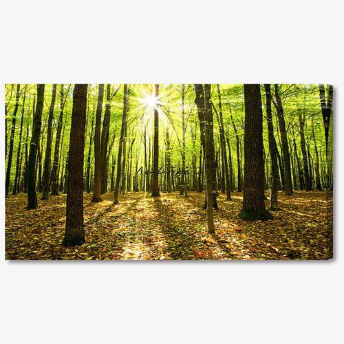 M1106 - Πίνακας δάσος με ηλιαχτίδες