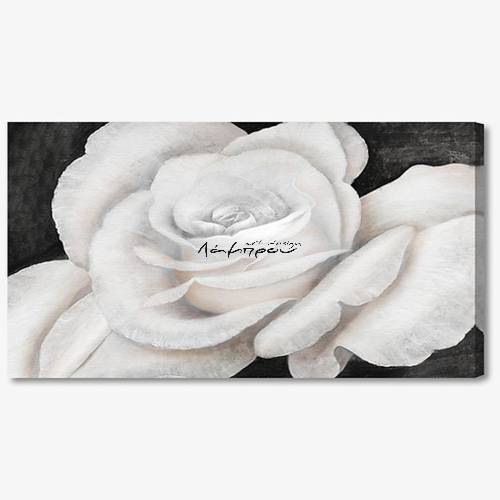 C002 - Πίνακας ανθισμένο λευκό τριαντάφυλλο