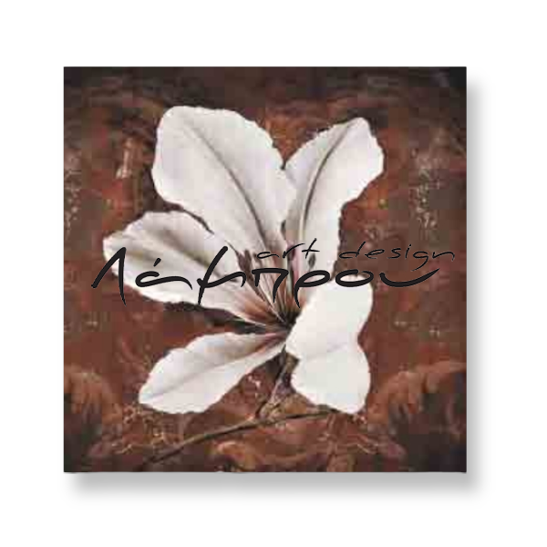 TR163 - Πίνακας λευκό λουλούδι σε καφέ φόντο