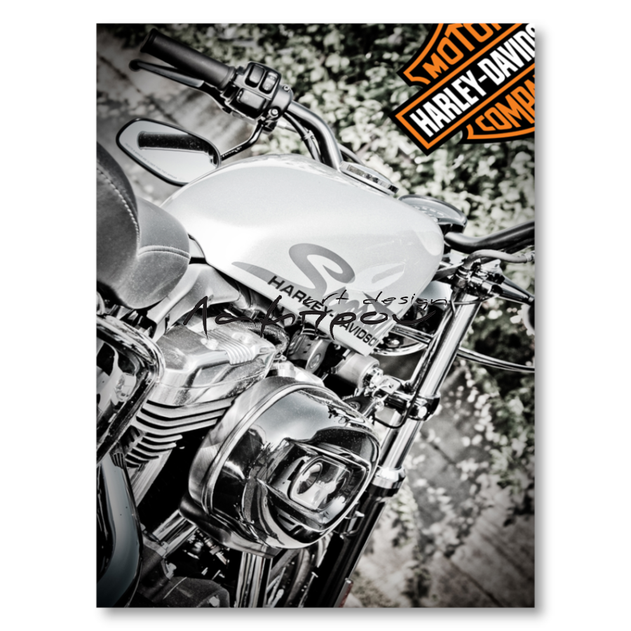 ADL035 - Πίνακας Harley Davidson λευκή