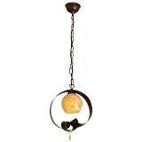 PDA  101 ΚΡΕΜ 1/Φ ΣΚΟΥΡΙΑ ΠΟΡΤΟΚΑΛΙ ΓΥΑΛΙ