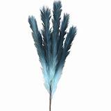 ΚΛΑΔΙ PAMPAS ΤΥΡΚΟΥΑΖ-ΜΠΛΕ