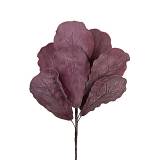 ΚΛΑΔΙ ΜΕ ΣΟΜΟΝ ΦΥΛΛΑ