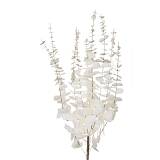 ΚΛΑΔΙ ΜΕ ΛΟΥΛΟΥΔΙΑ ΛΕΥΚΟ