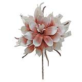 ΛΟΥΛΟΥΔΙ ΡΟΖ -ΛΕΥΚΟ