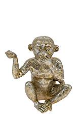 ΔΙΑΚΟΣΜΗΤΙΚΟΣ ΠΙΘΗΚΟΣ ΠΟΛΥΕΣΤΕΡΙΚΟΣ ΔΕΝ ΜΙΛΑΩ ΑΣΗΜΙ