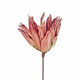 ΛΟΥΛΟΥΔΙ ΡΟΖ ΠΡΑΣΙΝΟ