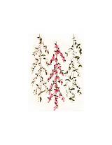 ΓIPΛANTA ANΘAKI 135EK.