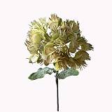 ΛΟΥΛΟΥΔΙ ΠΡΑΣΙΝΟ-ΚΑΦΕ