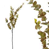 ΚΛΑΔΙ ΔΙΑΚΟΣΜΗΤΙΚΟ ΕΥΚΑΛΥΠΤΟΣ ΠΡΑΣΙΝΟ/ΚΑΦΕ REAL TOUCH Y97/54cm 40/240ΚΙΒ