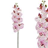 ΚΛΑΔΙ ΛΕΥΚΟ/ΡΟΖ ΟΡΧΙΔΕΑΣ REAL TOUCH 90CM 12/96KIB