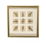 ΠΙΝΑΚΑΣ ΞΥΛΟ/ΓΥΑΛΙ