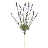 ΜΠΟΥΚΕΤΟ ΜΩΒ ΣΤΑΧΥ ΛΕΒΑΝΤΑΣ - Y59cm 24/144KIB