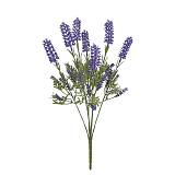 ΜΠΟΥΚΕΤΟ ΛΕΒΑΝΤΑ ΜΩΒ - Y45.5cm 24/168KIB