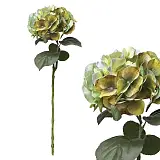 ΚΛΑΔΙ ΟΡΤΑΝΣΙΑ ΠΡΑΣΙΝΟ/ΚΙΤΡΙΝΟ REAL TOUCH ΜΕ 12 ΣΤΕΛΕΧΗ - Υ65cm 12/120ΚΙΒ