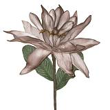 ΛΟΥΛΟΥΔΙ ΡΟΖ ΣΟΜΟΝ